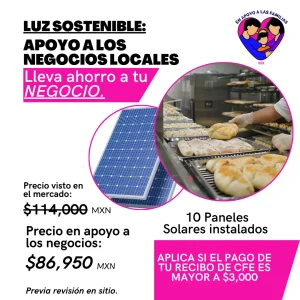 En apoyo a las familias MX, Paneles solares, Paneles solares para negocio, 10 paneles solares