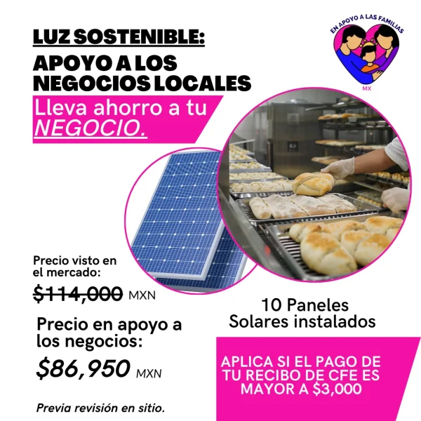 En apoyo a las familias MX, Paneles solares, Paneles solares para negocio, 10 paneles solares