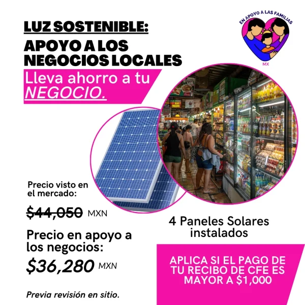 En apoyo a las familias MX, Paneles solares, Paneles solares para negocio, 4 paneles solares