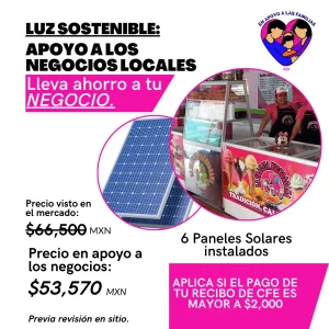 En apoyo a las familias MX, Paneles solares, Paneles solares para negocio, 6 paneles solares