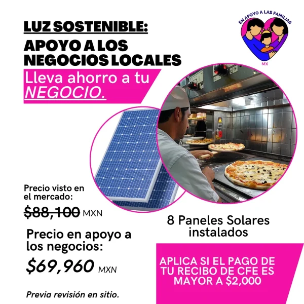 En apoyo a las familias MX, Paneles solares, Paneles solares para negocio, 8 paneles solares